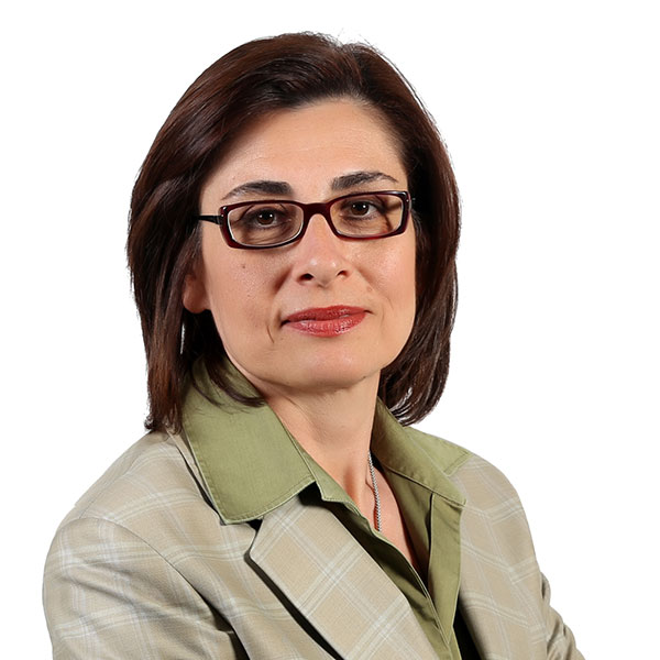 Özlem Söğütlü Erişgin.jpg picture